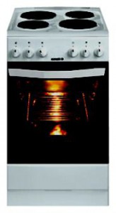 厨房炉灶 Hansa FCEX57002030 照片