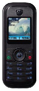移动电话 Motorola W205 照片