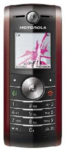 Mobiltelefon Motorola W208 Foto