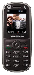 携帯電話 Motorola WX288 写真