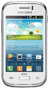 Стільниковий телефон Samsung Galaxy Young Duos GT-S6312 фото