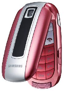 Cellulare Samsung SGH-E570 Foto