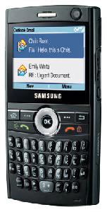 携帯電話 Samsung SGH-i600 写真