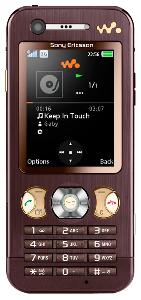 Mobiltelefon Sony Ericsson W890i Bilde
